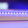 USB Növénynevelő LED modul, 4W, 42 LED , 30 cm , piros/kék fény , időzíthető , dimmelhető , LEDISSIMO GROW - Image 2