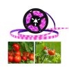 USB Növénynevelő LED szalag , 4W, 180 LED , 3m , lila (piros/kék) fény , LEDISSIMO GROW - Image 2