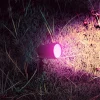 7W RGB Smart kerti tüske fénytest IP65 - 3014 - Image 2