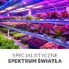 LED grow bulb LED PLANTY E27 24W Kobi Design - KOBI-001508