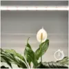 LED grow lamp LED GROWLY 15W Kobi Design