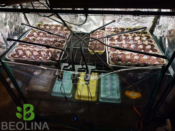 Beolina 2 karos növénynevelő LED, olvasó- és munkalámpa - fehér